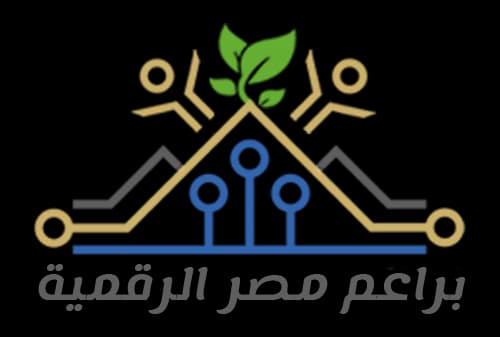 DEMI logo